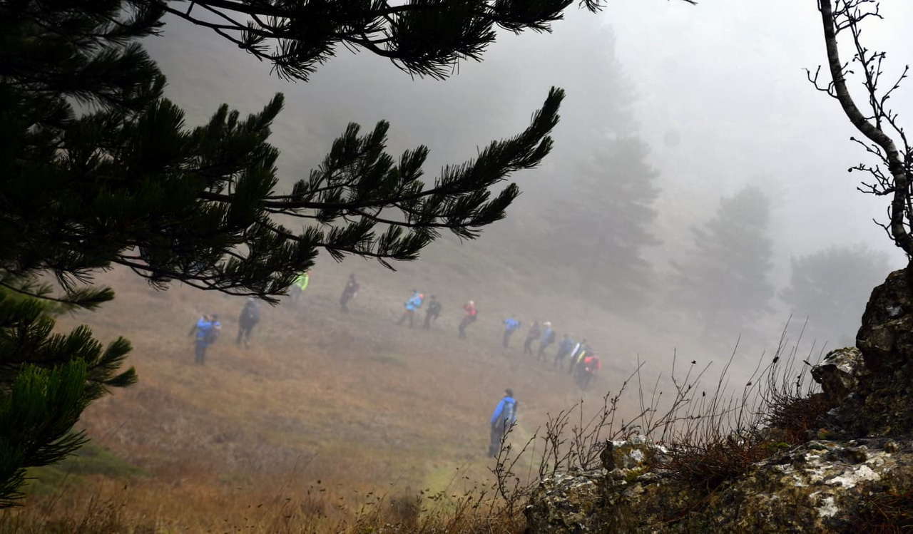 WhatsApp Image 2026-02-09 at 20.29.02 (3)